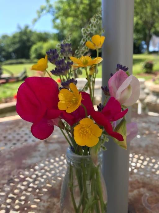 Ferme De Noyes Bed and Breakfast Sourdeval Εξωτερικό φωτογραφία